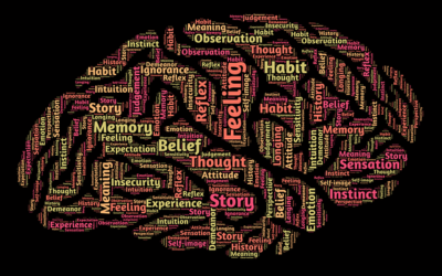 The Assessment Minefield